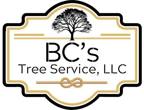 BC's Tree Service